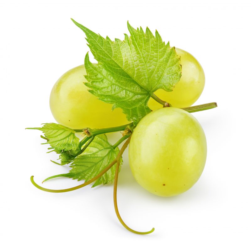 Grape seed from Spain