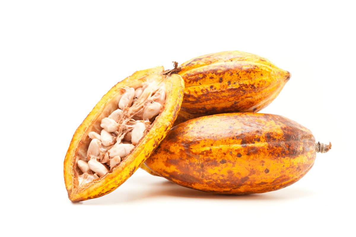 Cocoa butter from Ghana