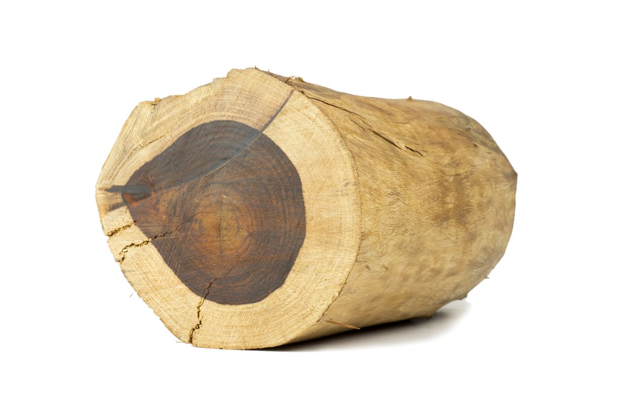 Rosewood from Brazil